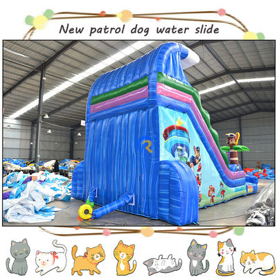 Развлекайте детей с 3D-пау-патрулями надувные водные горки и бассейн с двойной дорожкой