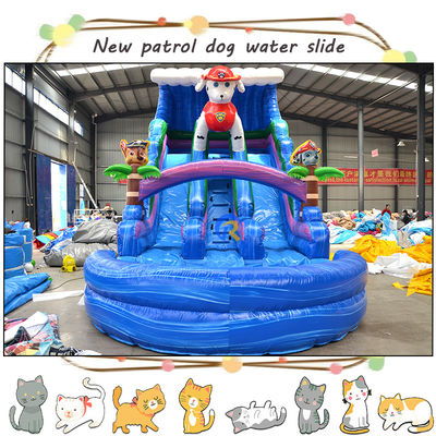 Развлекайте детей с 3D-пау-патрулями надувные водные горки и бассейн с двойной дорожкой