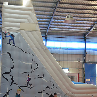 Большая Белая Снежная Гора Двойной Слайд и Слайд Надувный Водный Слайд Для Взрослых