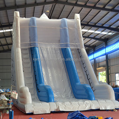 Большая Белая Снежная Гора Двойной Слайд и Слайд Надувный Водный Слайд Для Взрослых