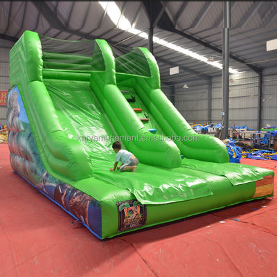 Максимальная вместимость 100-500 кг Надувный небольшой водный парк для детского развлечения