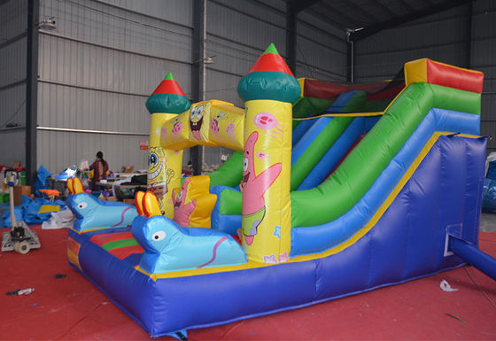 5-10 Пассажиров Custom Small Sponge-Bob Wet and Dry Slide с цифровым дизайном печати