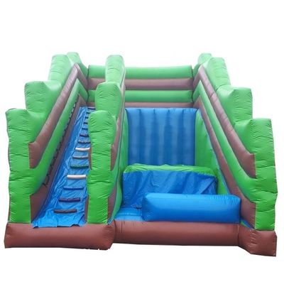 Unisex Family Garden Inflatable Slide Game CE Включает в себя вентилятор и ремонтные принадлежности