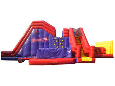 Unisex Family Garden Inflatable Slide Game CE Включает в себя вентилятор и ремонтные принадлежности