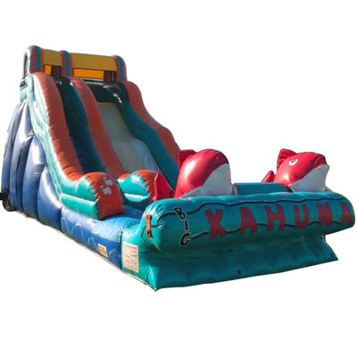 0.55мм ПВХ брезент красный карп тематика надувная водная горка с широким скольжением и горка