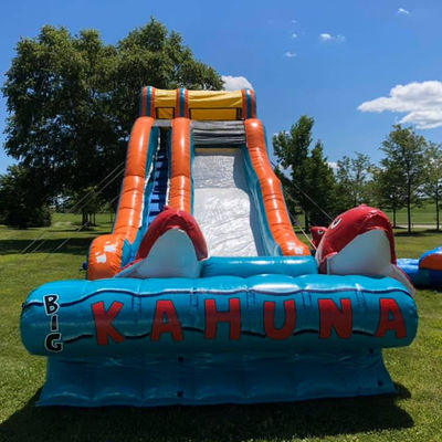 0.55мм ПВХ брезент красный карп тематика надувная водная горка с широким скольжением и горка