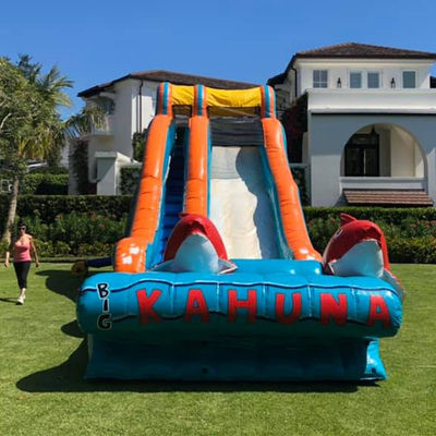 0.55мм ПВХ брезент красный карп тематика надувная водная горка с широким скольжением и горка