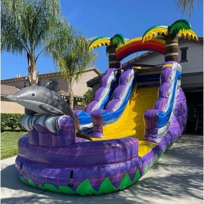 5-10 пассажиров ПВХ надувный водный слайд стандарты CE вдувник зеленая пальма с бассейном