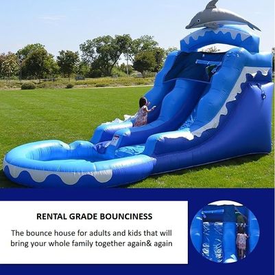 Грей Маленький кит Надувная водная горка с бассейном с голубым океаном и вентилятором
