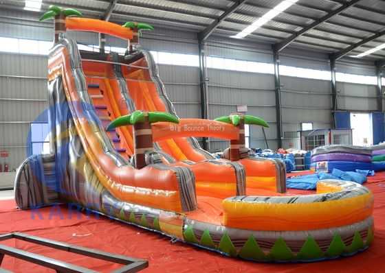 Custom Logo Printed Inflatable Water Slide and Blower с бассейном в 2024 году