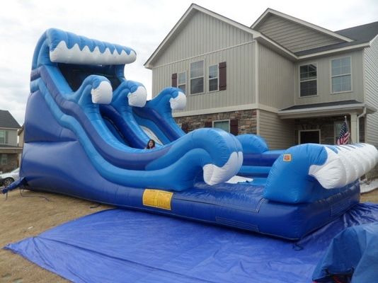 18ft PVC Синий надувный водный горка с бассейном Карри Тропический прыгающий скачок замок