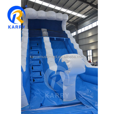 Гендерно-нейтральный коммерческий задний дворик скачущий замок Мраморный тропический водопад Водный горка