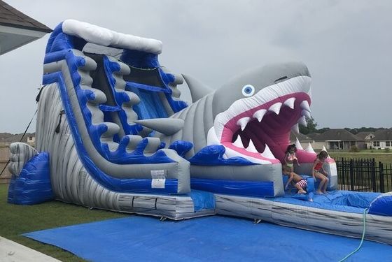 Популярное надувное оборудование для водного парка Большие синие 3D водные горки с бассейном
