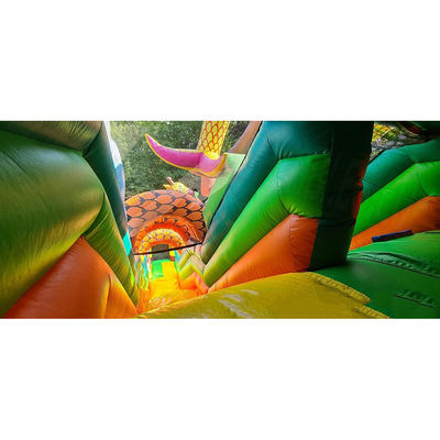 Настроенный цветной сафари парк надувный вышибальщик для детского развлечения в открытом парке