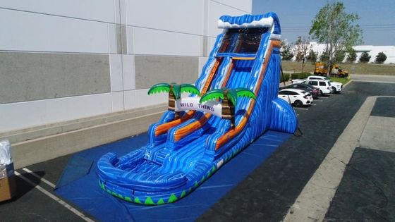 Коммерческие надувные игры для случаев Марморное пальмовое дерево Слайд для игры на открытом воздухе