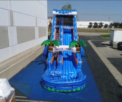 Коммерческие надувные игры для случаев Марморное пальмовое дерево Слайд для игры на открытом воздухе