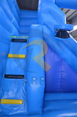 Экспресс-перевозка Дети На открытом воздухе Прыгающий дом Надувный прыгающий замок Замороженный парк