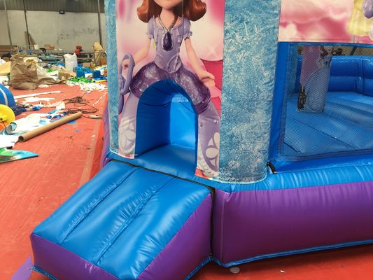 Горячая принцесса вечеринка Качающийся замок с слайдом ПВХ Коммерческое оборудование для игровой площадки